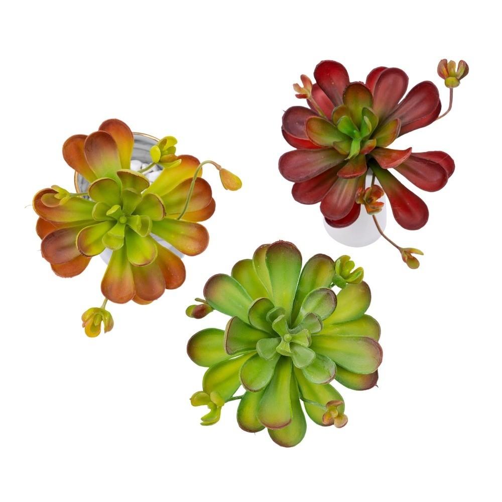 Lifelike Artificial Succulent Plant Real Touch Simulation Bonsai Plant  Home Office Decor