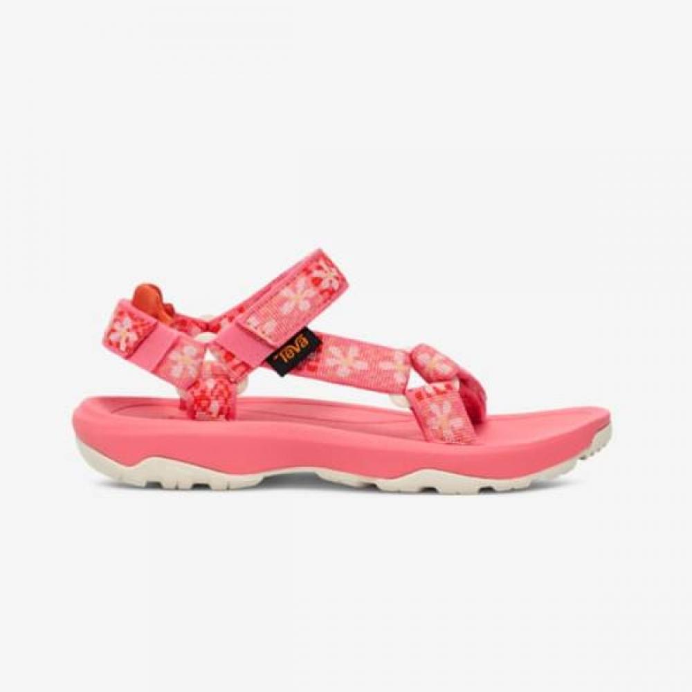 

Teva Kids Hurricane Xlt2 Sports Sandals STVT2419390-GVY/220