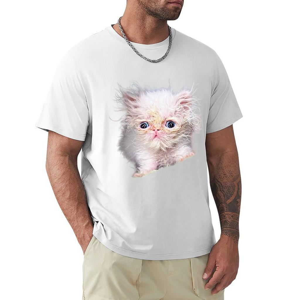 Wisp Cat Tshirt Casual Daily Outfit Tshirt