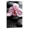 SZKLANA DESKA DO KROJENIA 30x52 Orchidea