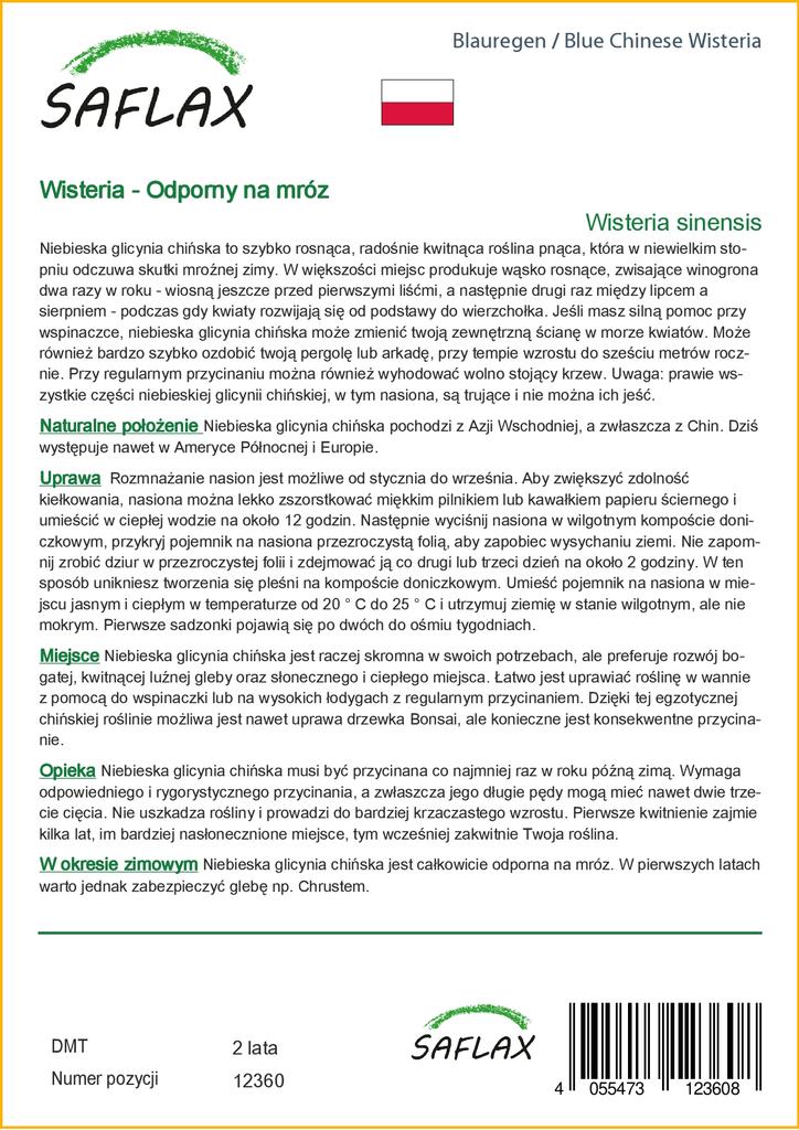 SAFLAX Blue Chinese Wisteria - 4 Seeds - With Potting Substrate for Better Cultivation - Wisteria Sinensis