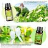 PHATOIL 6Pcs Floral Fragrance Oil Women's Day Gift Set Freesia Angel Fresh Linen Essential Oil for Humidifier Massage Skin Care DIY Perfume