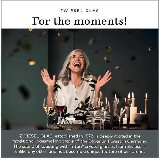 Set of Red Wine Glasses Schott Zwiesel Pure Burgundy, 6 Pieces (112421)