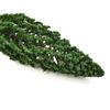 Complete Trees Layout Model Plastic SL-16059 Trees
