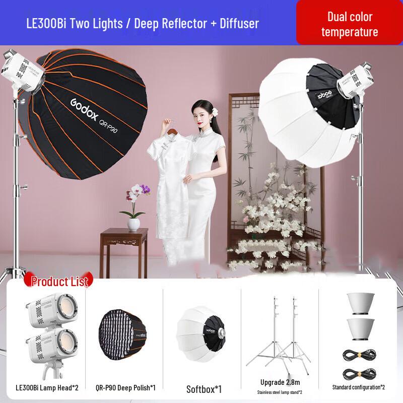 Godox LE300Bi Bi-Color LED Video Light