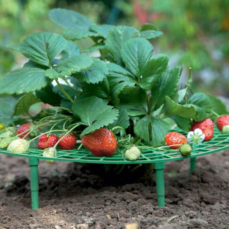 Green Strawberry Planting Stand Plastic Plant Support Cage Garden Anti-Rot Strawberry Growing Racks Holder With 3/4Sturdy Legs