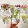 8pcs Mini Small Vase Magnets Cute Mini Refrigerator Magnets 3D Vase Fun Refrigerator Accessories Kitchen Decoration Holiday Gift