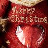 Christmas Tabletop Decorations Gift Bags with Zipper for Holiday Party Favors And Stocking Stuffers, Candy Storage Containers Cute Bag, Santa/Reindeer
