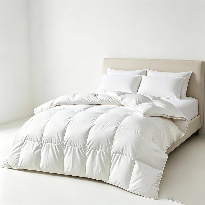 Xinyuehua XC68004 Winter White Goose Down Comforter