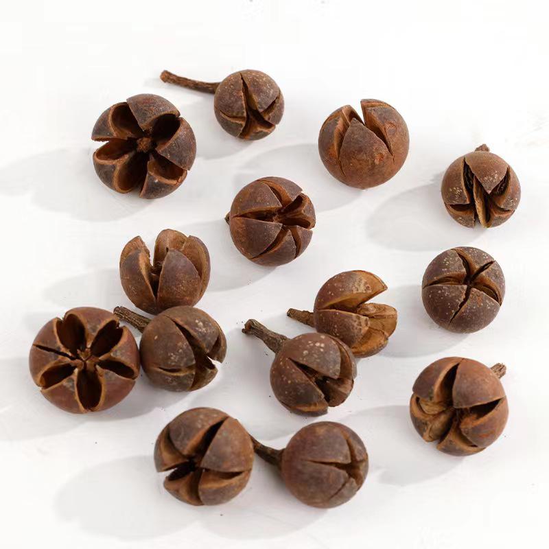 Christmas Pine Cones & Dried Flowers Pack - Eucalyptus, Pine Wood, Cotton, Handmade Photography Props