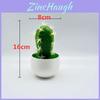 Artificial Cactus Plant Decor With Soft Pvc Material For Home Office Display