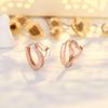 Love Row Diamond Earrings Female Personality Design Sense Tide Earrings Ins Temperament Senior Sense of Ear Jewelry Hypoallergenic Hoops