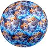 1pc Cuddly Kittens Blanket Theme Soccer Ball Football, Size 5, Lightweight PVC, Outdoor Training Soccer Ball,Gift c65141