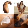 Oreiller Chien Simulation 3D Créatif, Jouet en Peluche Animal en Peluche Pour Enfants, Tissu Peluche Court, Remplissage Coton Pp, Tailles et Couleurs Variées