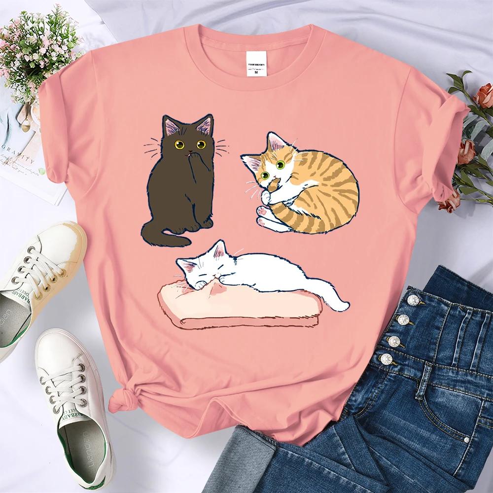 Mischievous Three Colored Kittens Print Women T Shirts Hip Hop Summer T Shirt Casual Comfortable Clothes Crewneck Soft Top