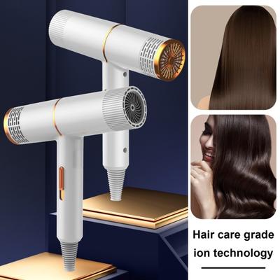 Household Hair Dryer with 800W High-Power Blue Light Negative Ion Hair Care Blow Dryer Women Men Hair Dryer for Mute & Quick Drying Hair (US Plug)