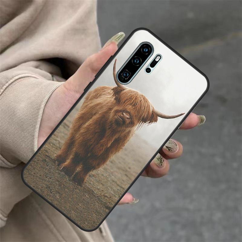 

Шотландские коровы Для Huawei Nova 11i 8i 7i 3i Nova 9 10 SE 5T Y60 Y70 Y90 Y91 Y61 P20 P30 P40 Lite Pro Чехол P Smart 2019