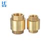 Thread Brass Vertical Spring Check Valve Spring Loaded Check ValveCopper Check Valves for Compressors