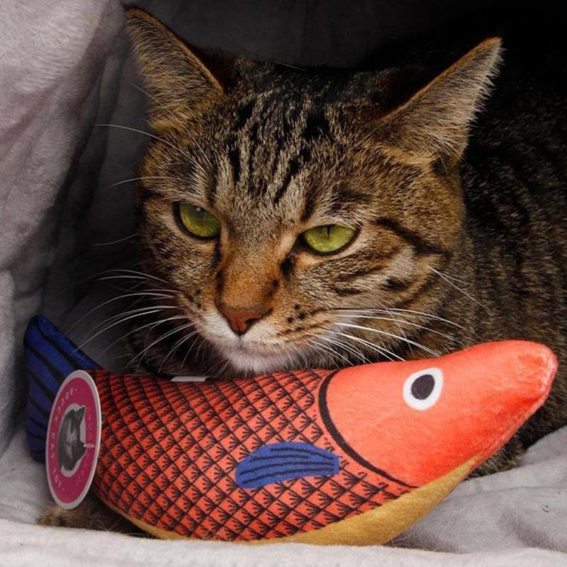 3 Pcs Catnips Toy Fish Toy Soft Chewing Stuffed Animal for Kitten Grinding Toy Fish Shape Catnips Toy Keep Kitten Busy