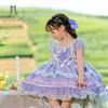 Summer New Children Wear Girls Lace Chiffon Pouce Dress Children Lolita Party Dress