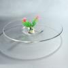 El Restaurant Creative Glass Tableware Transparent Straw Hat Shallow Bowl On the Molecular Cooking Plate Kitchen Fruit Plate