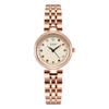 Creative High-end Colored Diamond Disc Women's Niche Light Luxury High-value Waterproof Stainless Steel Quartz Watch