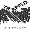 Trapped by A J Stuart Paperback Book 9781800162907