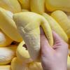 Sensory Simulated Durian Squeeze Toy Release Hand Slow Rebound Squeeze Toy Cute Elastic Slow Rebound Vent Toys Anxiety Relief