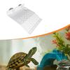 Turtle Basking Reptile Area White Float Decor Sunning for Pet Tank Amphibians Bearded
