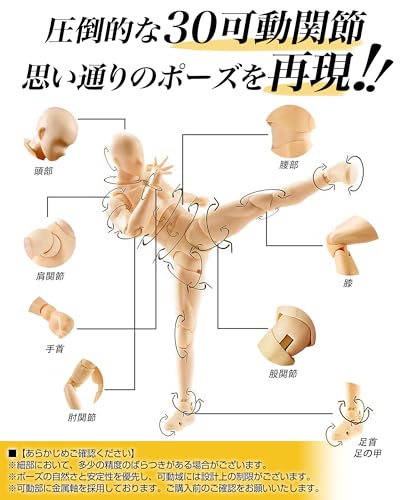 CHALAN Drawing Mannequin, 30-Jointed Articulated Figure with Stand [Recommended by Professional Manga Artists] Full Body Doll, Human Anatomy Model, Ma