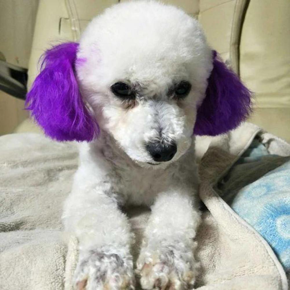 100ml Crème Colorante pour Animaux Longue Durée Coloration Cheveux Chien Non Irritante Extraits Naturels Colorant Cheveux Chat Chien Accessoires pour Animaux