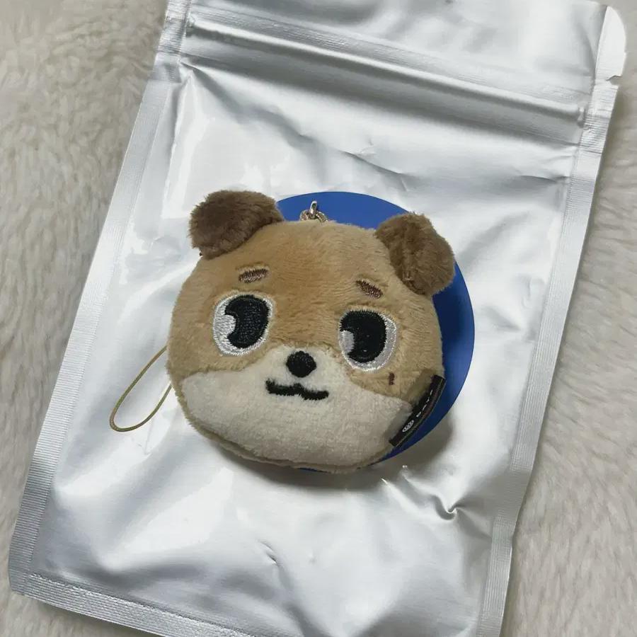 DAY6 Foreveryoung Random Face Keyring