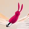 Mini Bunny Silicone Vibrator Dual Stimulation Clitoral Massager with Whisper-Quiet Motor Waterproof Body-Safe Easy-Clean Discreet Adult Toy for Women