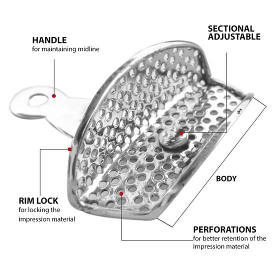 GDC Adjustable Dentulous Perforated (Itrldpa)