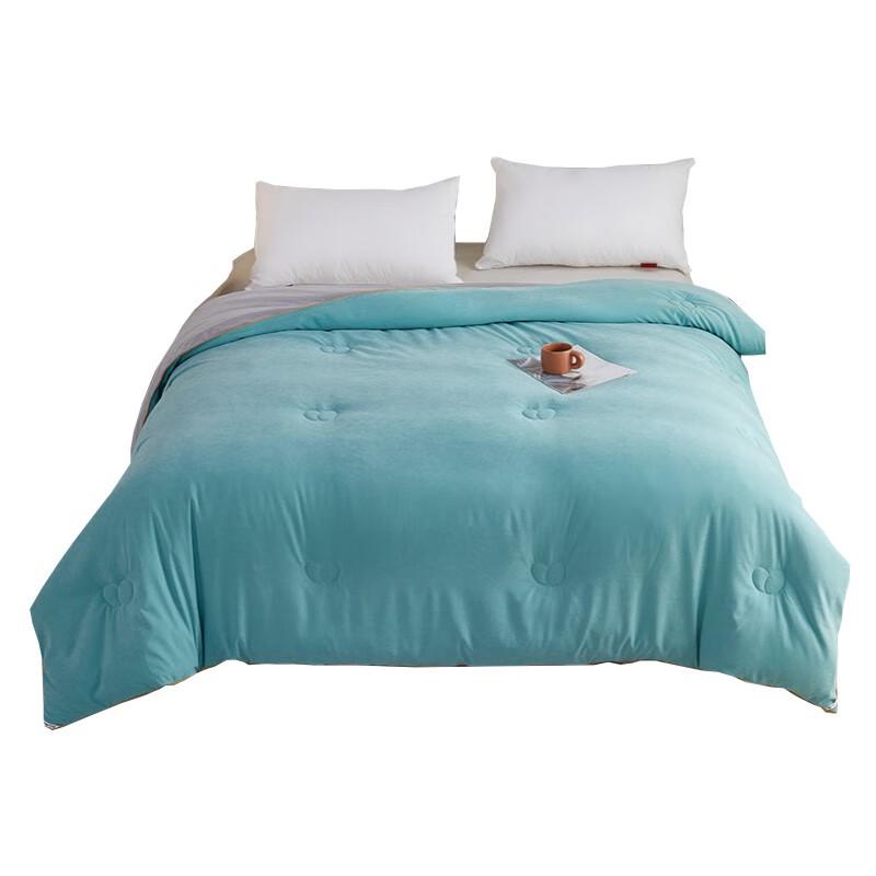 BGM B2266 Autumn Winter Velvety Warm Duvet Insert
