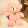 Teddy Bear Plush Teddy Bear Doll Creative Cute Bear Doll Gift for Girlfriend