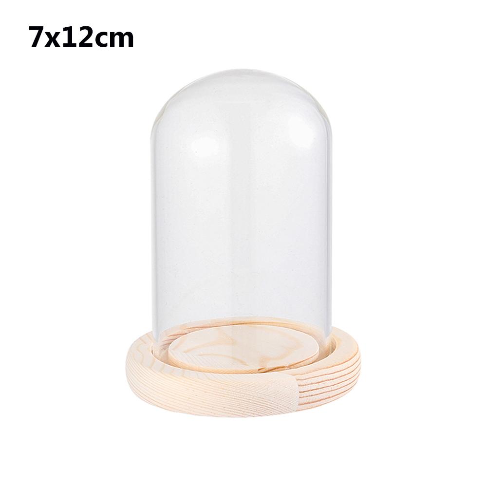 Terrarium Bottle with Wooden Base Dust Cover Glass Cloche Jar Display Stand Cover Display Box Immortal Flower Storage Bottle