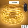 220V LED Strip With Dimmer EU/UK/AU Plug Warm White Blue High Bright 120LEDs/M Waterproof 3104 Ribbon LED Light Home Bar Decor