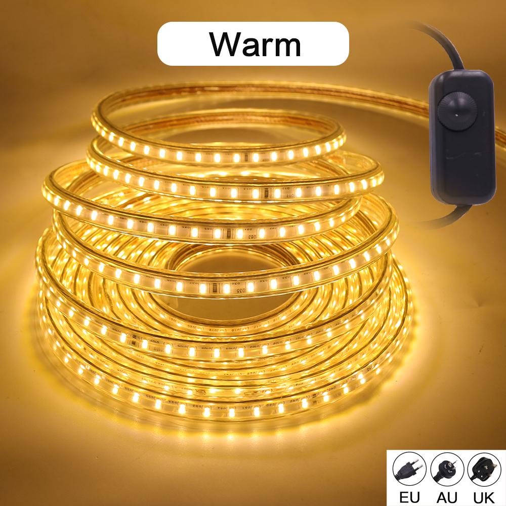 220V LED Strip With Dimmer EU/UK/AU Plug Warm White Blue High Bright 120LEDs/M Waterproof 3104 Ribbon LED Light Home Bar Decor