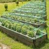 Grünes Vogelnetz – Strapazierfähiges Gartennnetz zum Schutz von Pflanzen & Obstbäumen – UV- & Frostschutz, Wiederverwendbar – Verschiedene Größen erhältlich