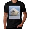 Chonky Seal Pup Hug Tshirt Stylish Graphic Short Sleeve Top