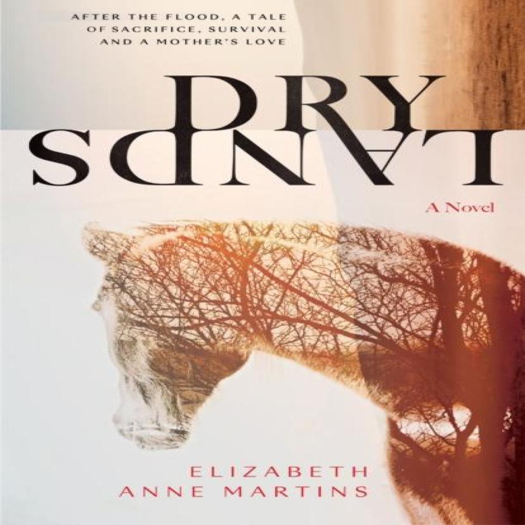Dry Lands by Elizabeth Anne Martins Paperback Book 9781787589056