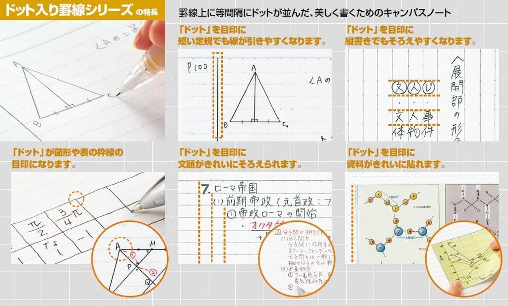 KOKUYO Campus A5 ruled with 30 sheets per Notebook, size, dots, notebook, 10-pack (No. 103ATNX10)