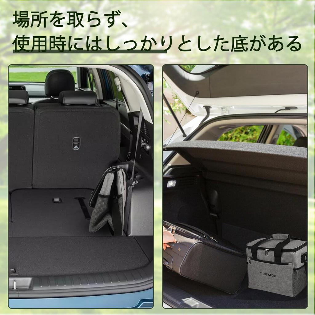 TEEMOO 18L Isolierbox, Große Kapazität, Faltbare Aufbewahrung, Isoliert, Wasserdicht, Leichtgewicht, Handheld oder Schultergurt, Ideal für Camping,