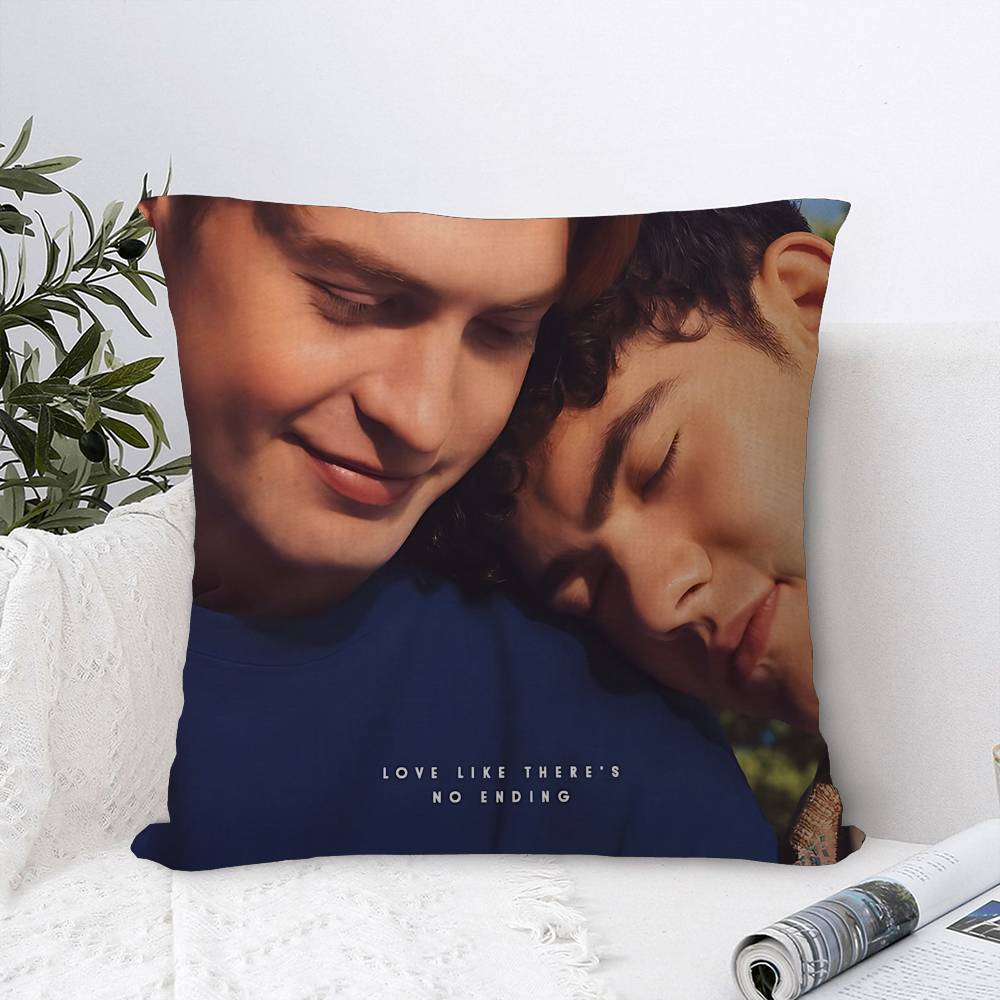TV Series H-Heartstoppers Love Cute Cushion Cover Decorative Pillow Sofa Home Decor case pillow cases