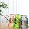 Arrosoir Transparent Grande Capacité en Acier Inoxydable avec Bec Long pour le Jardinage.