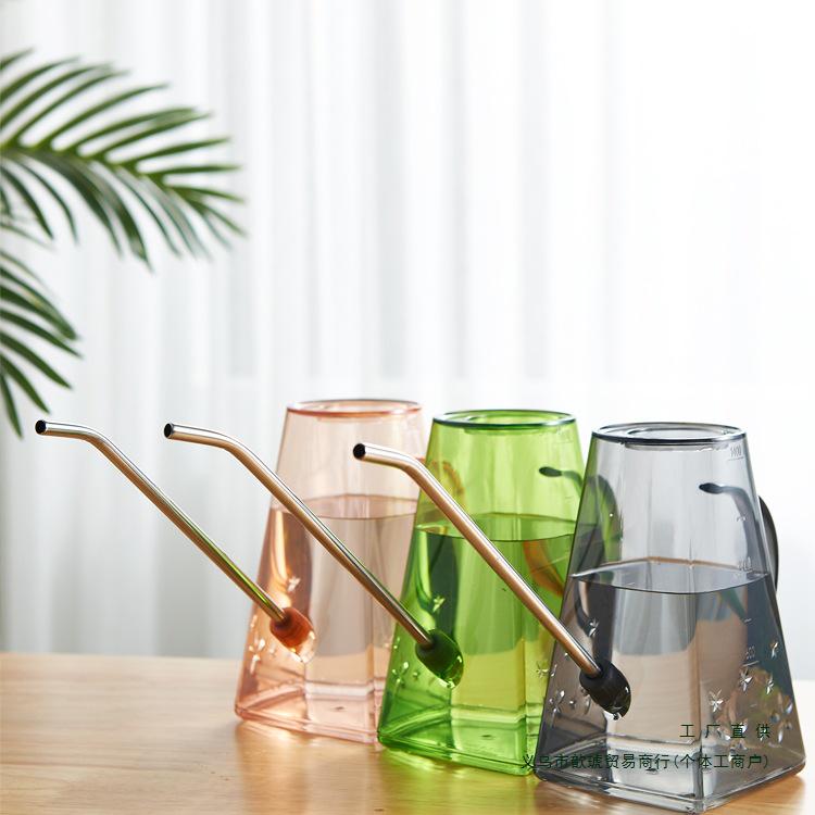 Arrosoir Transparent Grande Capacité en Acier Inoxydable avec Bec Long pour le Jardinage.
