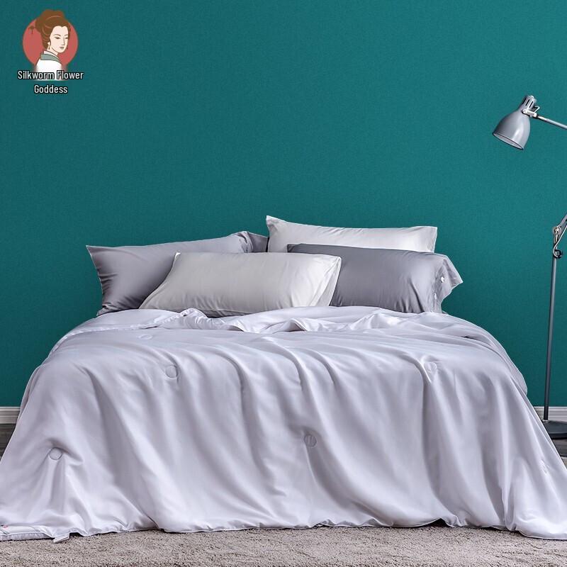 

SILKUEEN 100% Mulberry Silk All-Season Duvet Set