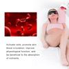 275W Floor Stand Infrared Heating Therapy Lamp Muscle Pain Relief Skin Care Light
