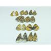 Natural Maligano Jasper Matched pair Pear Cabochon Loose Gemstone 9Pair Lot C-3298